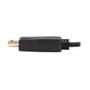 TRIPP LITE TRIPPLITE USB-C to DisplayPort Bi-Directional Active Adapter Cable M/M 4K 60 HDR Locking DP Connector 6ft. 1.8m (U444-006-DP-BD)