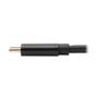 TRIPP LITE TRIPPLITE USB-C to DisplayPort Bi-Directional Active Adapter Cable M/M 4K 60 HDR Locking DP Connector 6ft. 1.8m (U444-006-DP-BD)