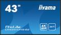 IIYAMA 43" 3840x2160,  4K UHD IPS  (LH4341UHS-B2)
