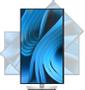 DELL Pro Plus P2725D (210-BRDL)