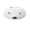 VIGI 5MP IR Fisheye Network Camera