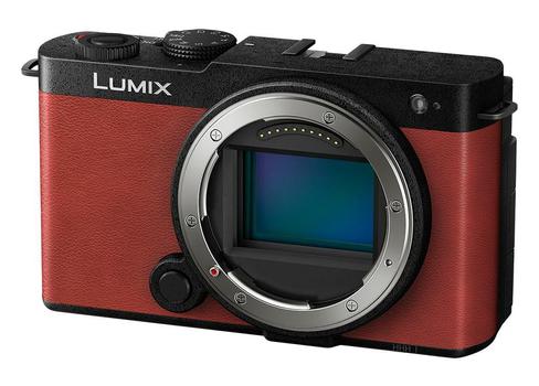 PANASONIC Lumix S9 Compact Camera 24.2 (DC-S9E-R)