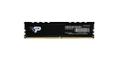 PATRIOT/PDP M Psp524G560081H1 Memory