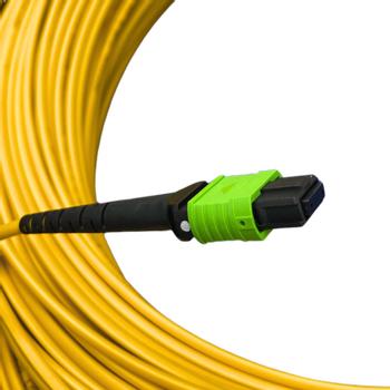 LinkIT MPO-A OS2 12c 260m MPO Female - Female , LSZH (LI-MPOOS2AFF-12C-260)