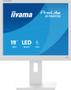 IIYAMA B1980S-W1 White 19" (B1980S-W1)