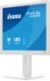 IIYAMA B1980S-W1 White 19" (B1980S-W1)