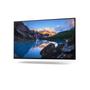 DELL UltraSharp 24 Monitor -