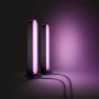PHILIPS Hue Play Double Pack - Sort (915005733901)
