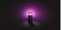 PHILIPS Hue Outdoor Calla Garden (915005630301)