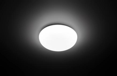 PHILIPS Functional Ceiling Light (8718699680534)