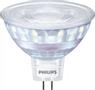 PHILIPS Spot (Dimmable)