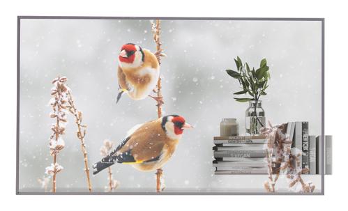 LG 55EW5P-M Signage Display 55inch OLED FHD (55EW5P-M)