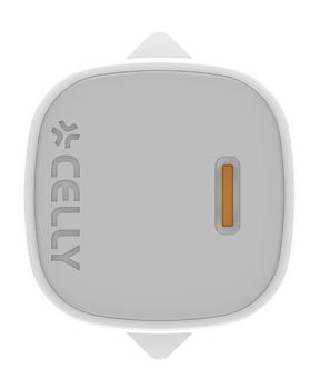 CELLY UP TC 1C 20W + C TO LIGHT CABLE (UPTC1USBC20WCTL)