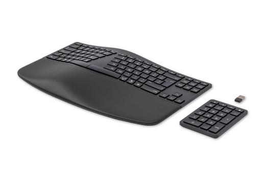 HP Ergonomic Wireless Keyboard  (7E755AA#ABB)
