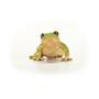 Schleich Wild Life European Tree Frog (14882)