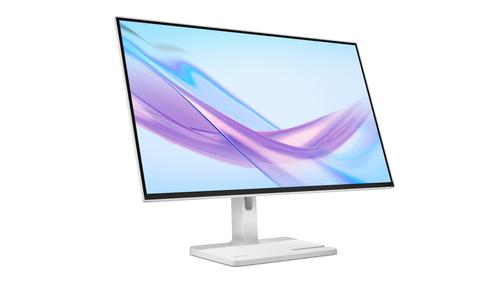 LENOVO L27q-4A 27-inch Monitor (67BFGAC6EU)