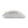 ASUS Wireless Md102 Mouse  (90XB0900-BMU020)