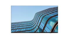 Lenovo ThinkVision E55 LFD