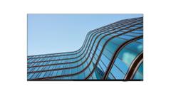 LENOVO ThinkVision E55 LFD