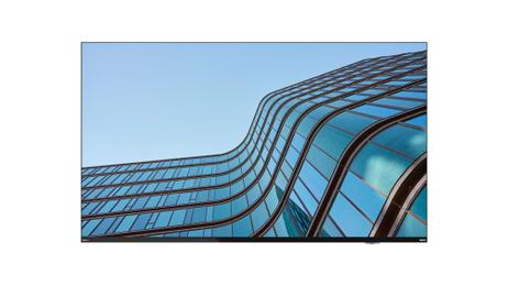 Lenovo ThinkVision E55 LFD (64A9GAT1EK)