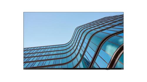 LENOVO ThinkVision E55 LFD (64A9GAT1EK)