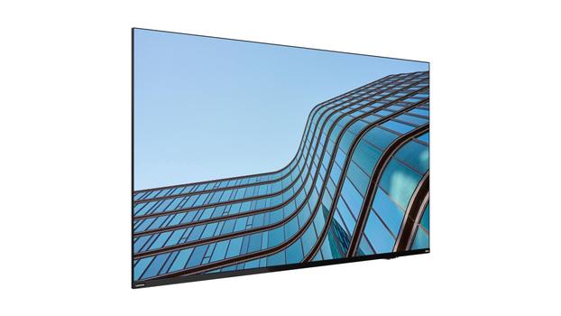 LENOVO ThinkVision E55 LFD (64A9GAT1EK)