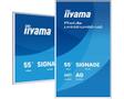 IIYAMA 55" Gallery Line with