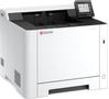 KYOCERA Ecosys Pa2101Cx Colour 1200 X 
