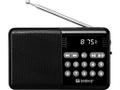 SANDBERG Speaker Radio FM+BT Recharge (421-18)