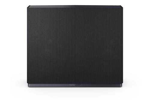 SHARP AQUOS Wireless Surround: (CP-AWS0101)