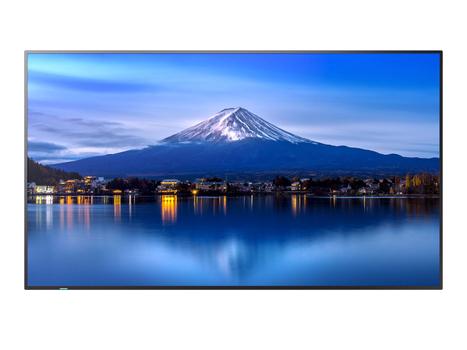 Sharp / NEC MultiSync P656 | PN-P656 | 65"" | 3840x2160 | 700Nits | 24/7 | Built-in speaker | (60006061)