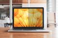 3M Bright Screen Privacy Filter (7100287809)