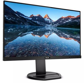 PHILIPS 243B9/00 23.8" 1920x1080 IPS 250 4MS (243B9/00)