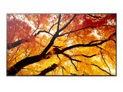 Sharp / NEC M432, 43" M-Series LFD, UHD 