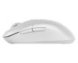 MSI Versa 300 Wireless Mouse  (S12-4301440-CLA)