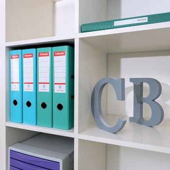 ESSELTE LAF PP Esselte Colour'Ice No1 75mm grön (626505*10)