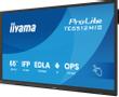 IIYAMA 65" iiWare13E , Android 14,  (TE6512MIS-B4AG)