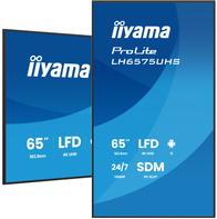 iiyama 65" 3840x2160, UHD IPS panel,