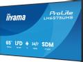 IIYAMA 65" 3840x2160,  UHD IPS panel, (LH6575UHS-B2AG)