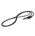 EIZO Displayport Cable 2 M Usb C