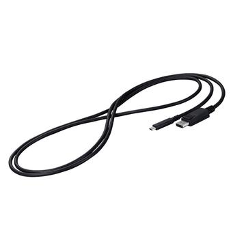 EIZO Displayport Cable 2 M Usb C  (CP200-BK)