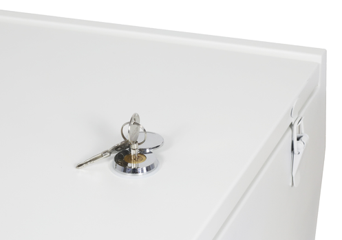 ALLNET DIN-RAIL Wandgehäuse zbh. Ersatzschlüssel Set 2pcs (ALL-DIN-XXX-ReplaceKeys)