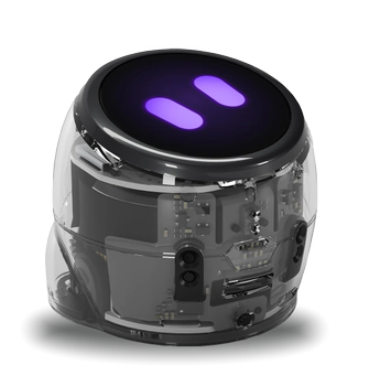OZOBOT MINT Coding Roboter Ari Entry Kit (50101ARI)
