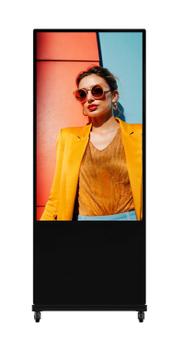 HIK VISION DS-D6055UT-D/ S,  55-inch  (DS-D6055UT-D/S)