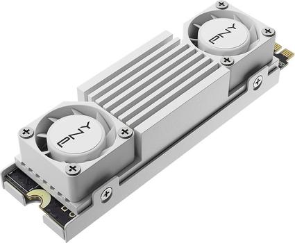 PNY Cs3150 2 Tb M.2 Pci Express  (M280CS3150HSW-2TB-RB)