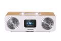 BLAUPUNKT Radio Internet Digital White, 