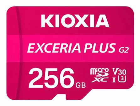 KIOXIA Exceria Plus G2 (LMPL2M256GG2)