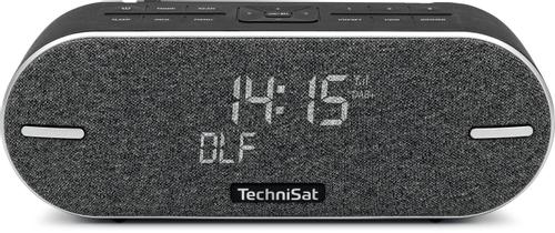 TECHNISAT Digitradio Bt 2 Portable  (0000/3973)