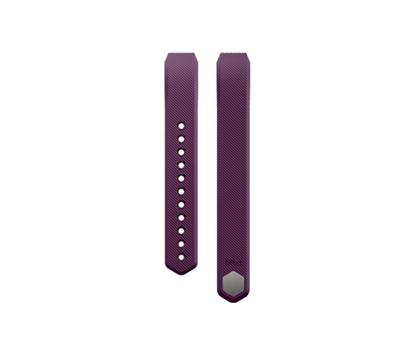 FITBIT Smart Wearable Accessories  (FB158ABPMS)