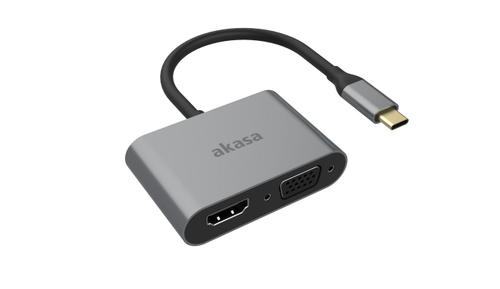 AKASA Usb Type-C 2-In-1 Adapter (AK-CBCA23-18BK)